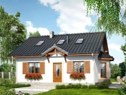 Проект ГБД-217